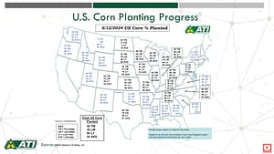 Corn Progress